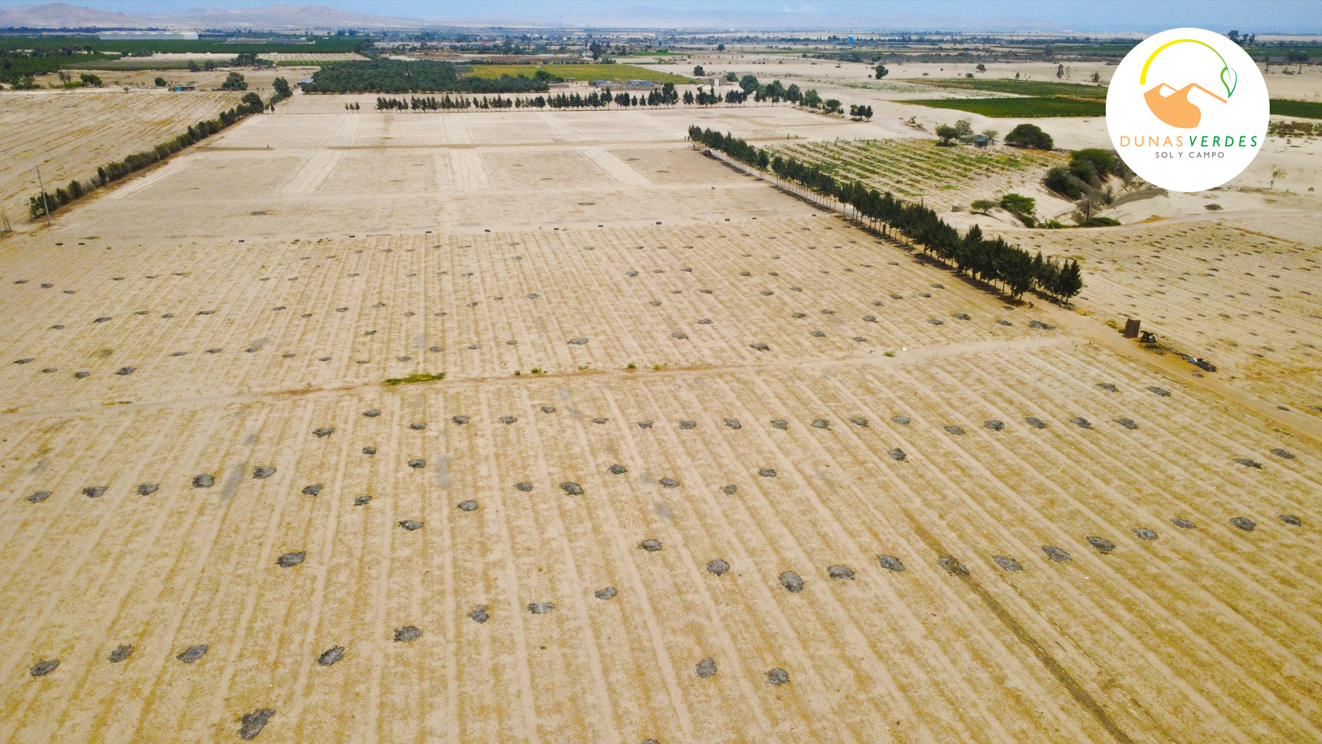 Dunas Verdes - Vista aérea