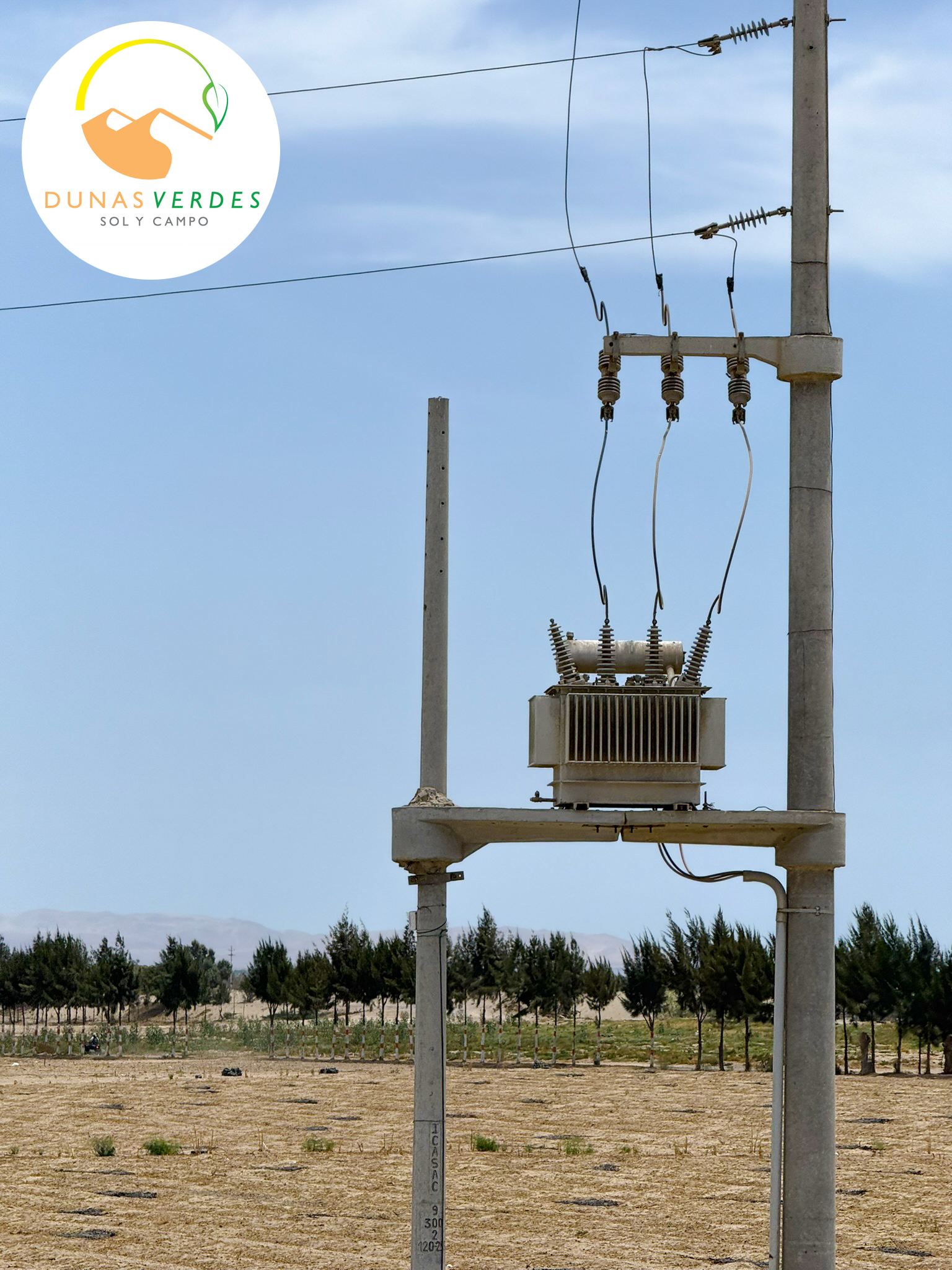 Dunas Verdes - Proyecto