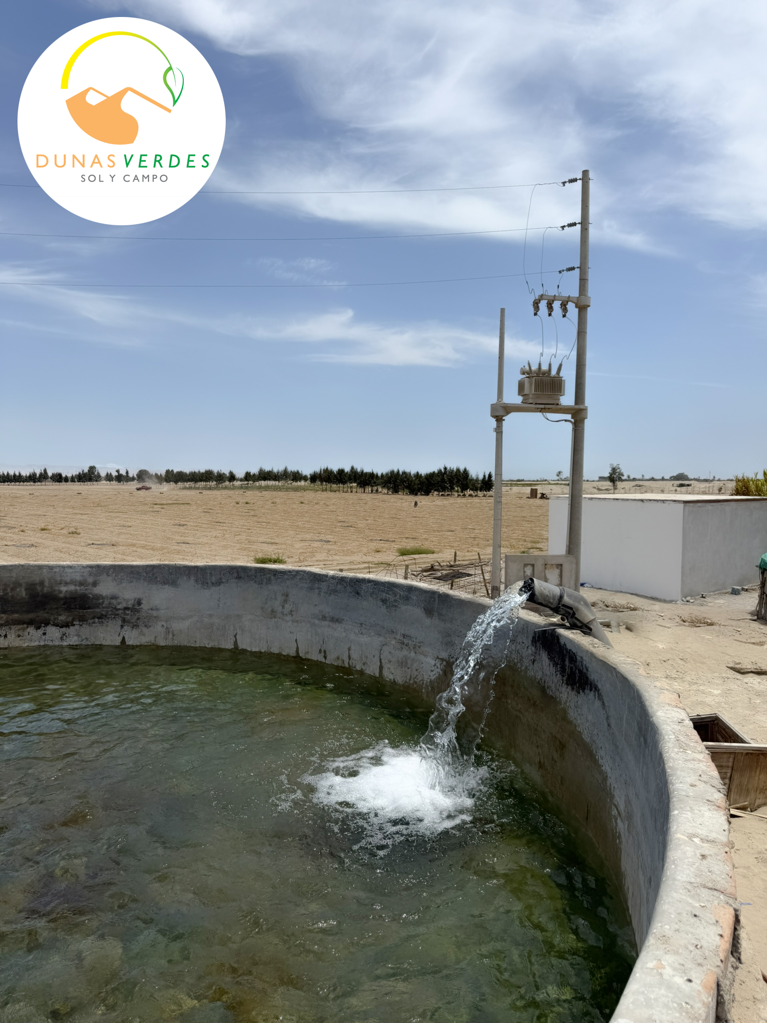 Dunas Verdes - Vista